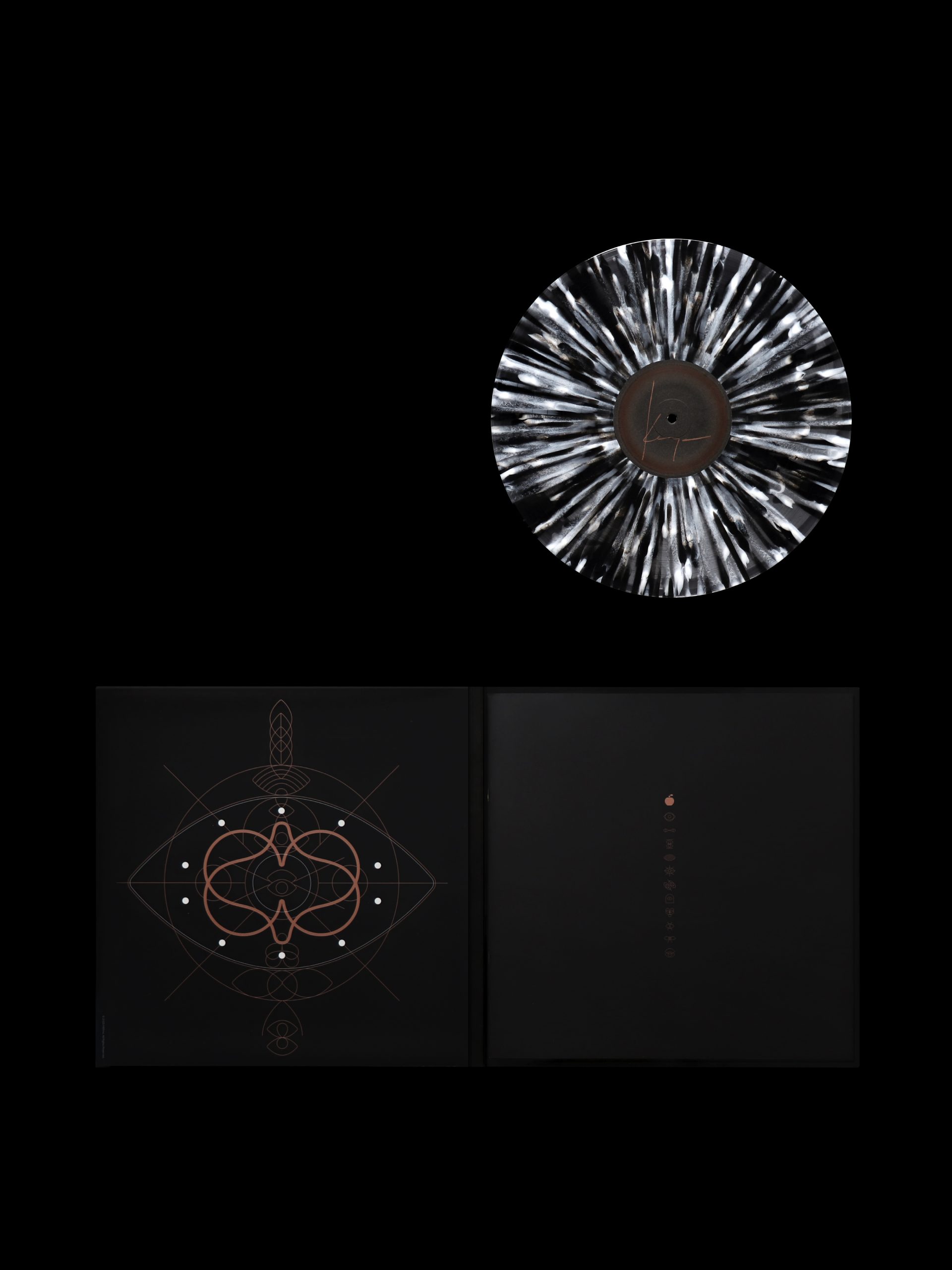 graphic design  Packaging vinyl record music artwork ILLUSTRATION-2