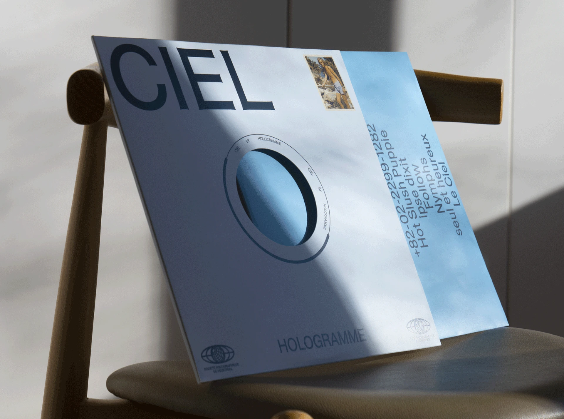 graphic design  brand identity Packaging visual identity vinyl typogra-03