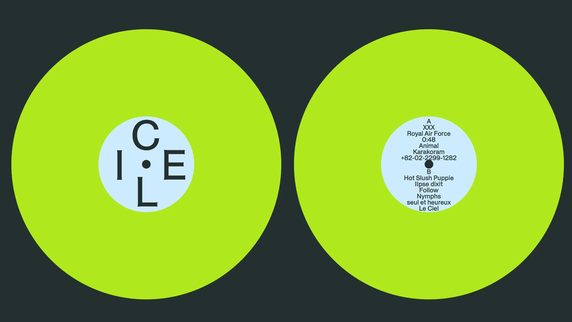 graphic design  brand identity Packaging visual identity vinyl typogra-11