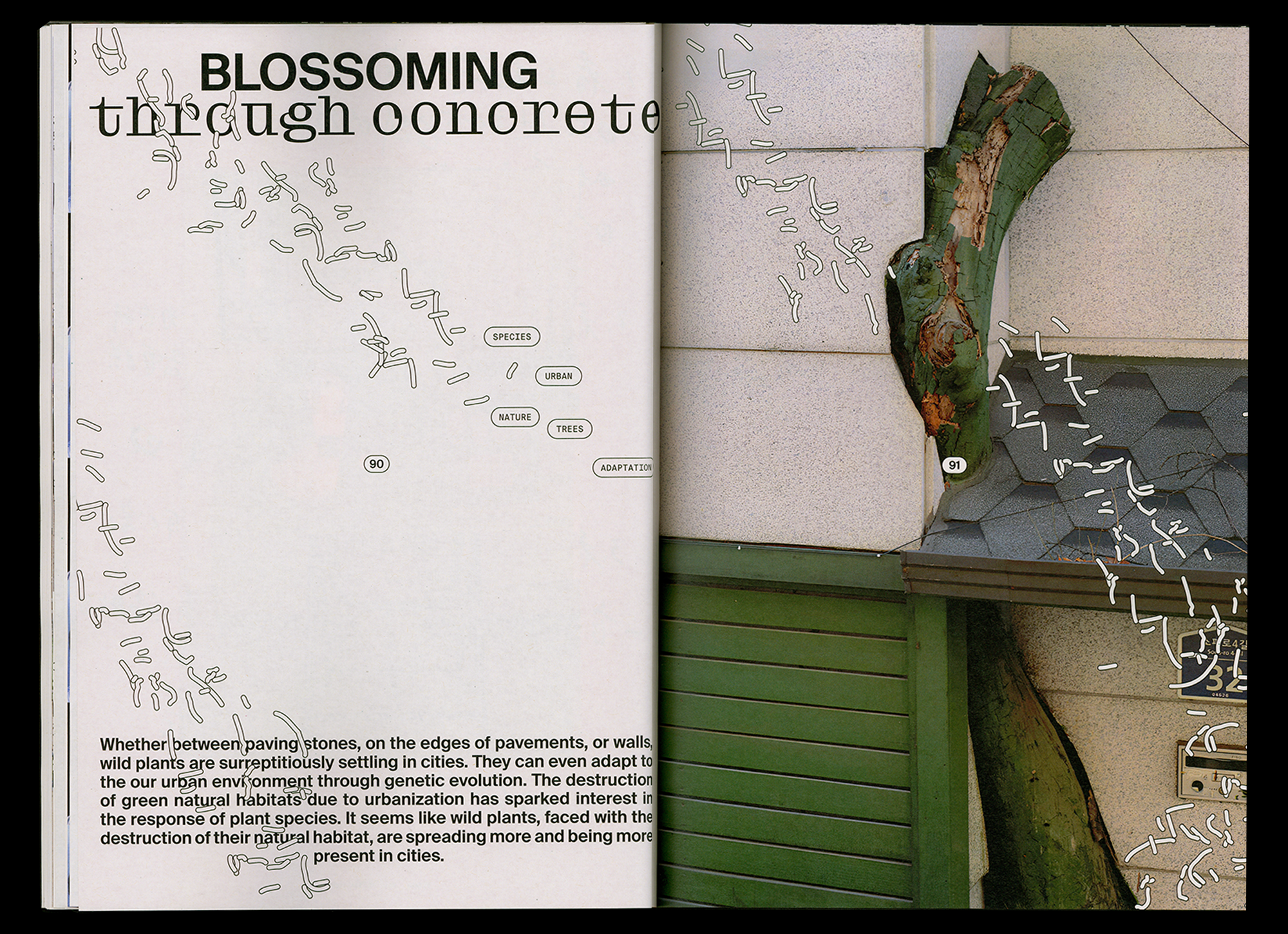 magazine graphic design  Layout editorial cover typography   editorial-3
